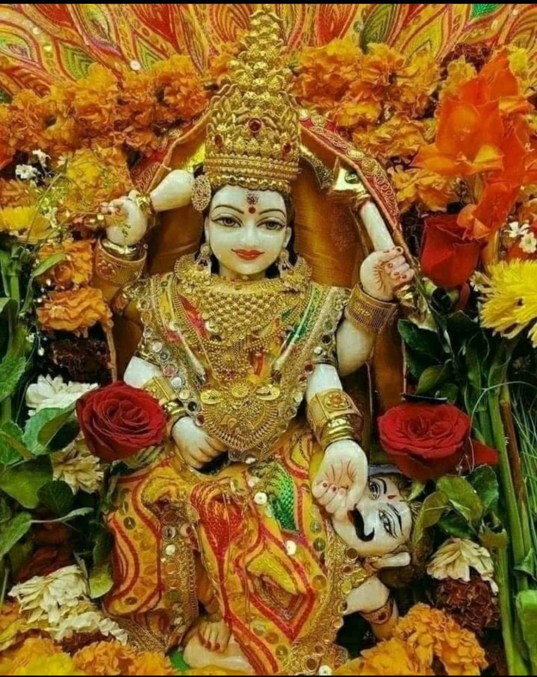 Vikas Kumar