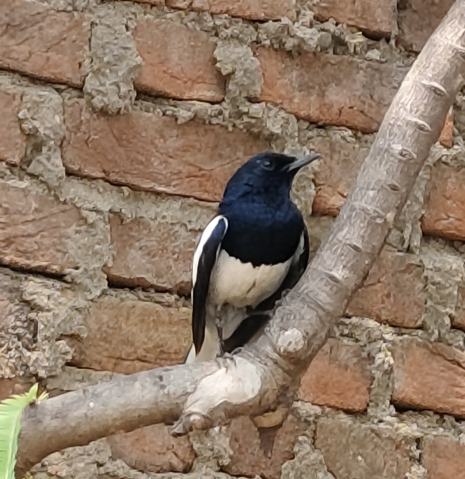 Arun Kumar Tripathi