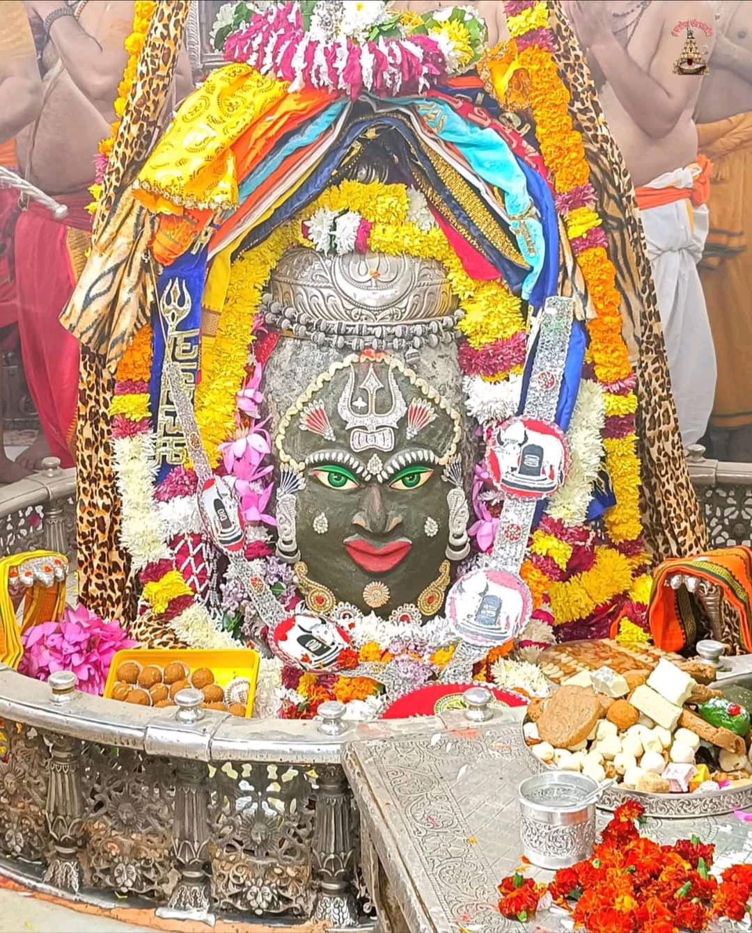 JAY KISHOR KUSHWAHA